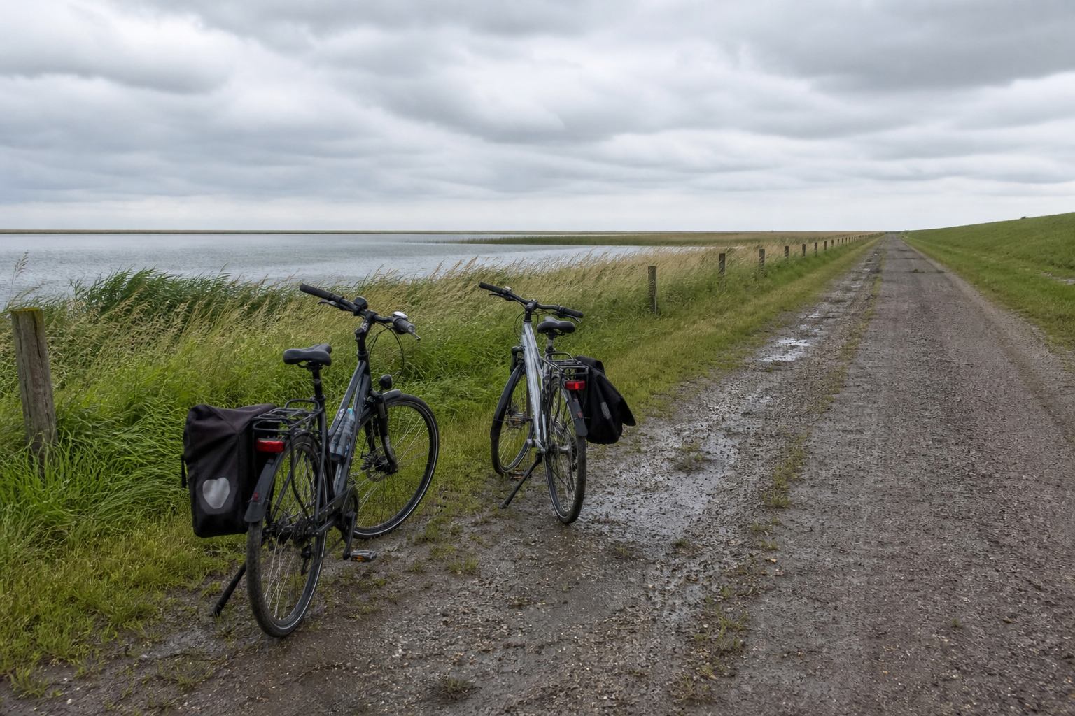 Bicycles on a dike path beside reed and silver lake water in Lower Saxony
